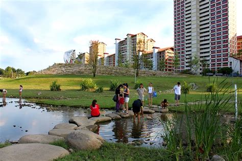 壁山哪個公園好玩——探索壁山公園風光與最佳游憩之選